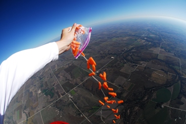 Carrots Go!