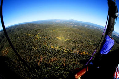 Balloon Shadow over the Jemez